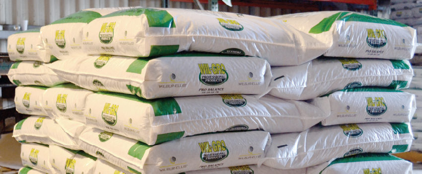 Best Practices for Using and Storing BOPP Bags