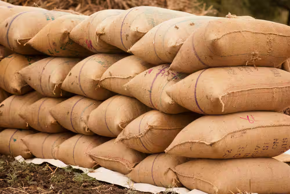 What Exactly Are Reprocess Bags?